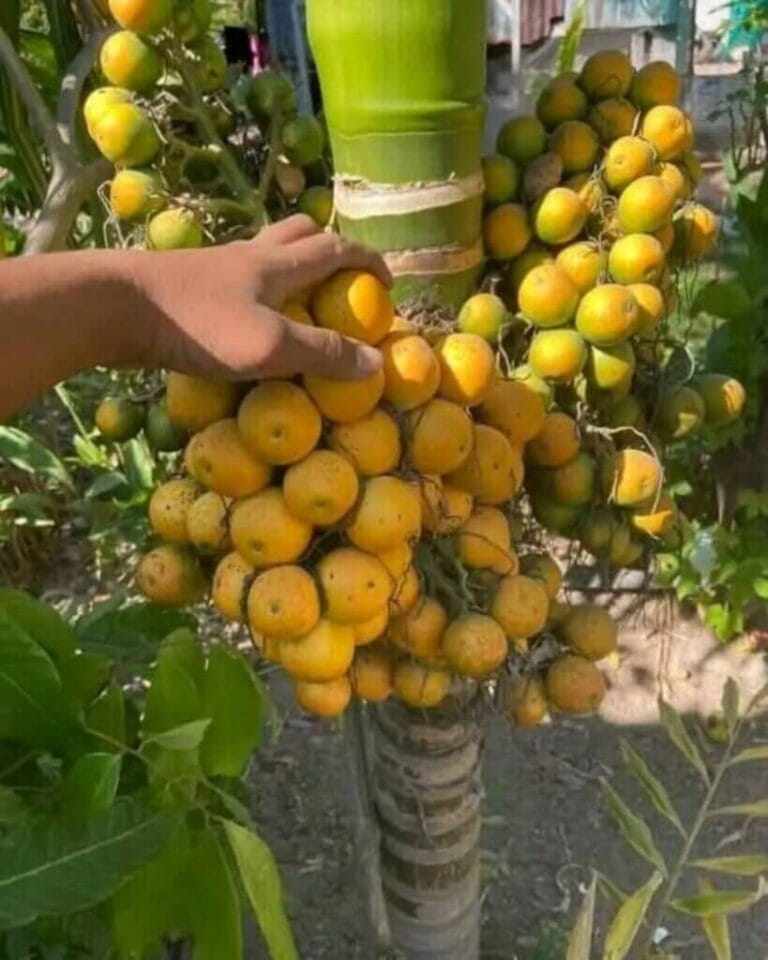 Picsart_25-06-18_09-26-19-882-819x1024